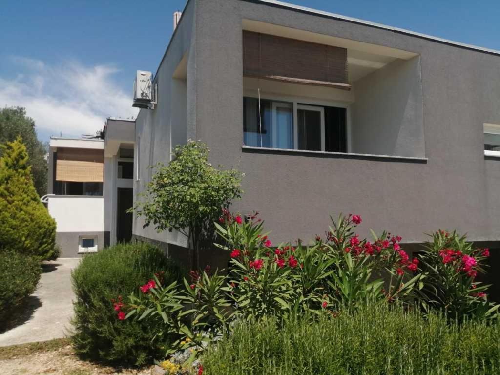 Apartments Dora 2 بيبينيا المظهر الخارجي الصورة