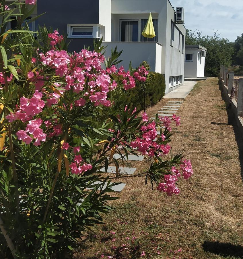 Apartments Dora 2 بيبينيا المظهر الخارجي الصورة